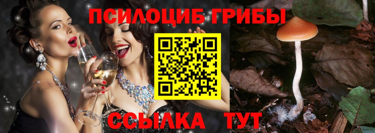 Озёры  Галлюциногенные грибы ЛСД  Вход с VPN 